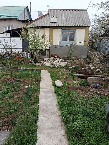 Другие фруктовые и ягодные растения: Продаю или меню на квартира Бишкеке на 2х комнатную. уже на наседеный — 10