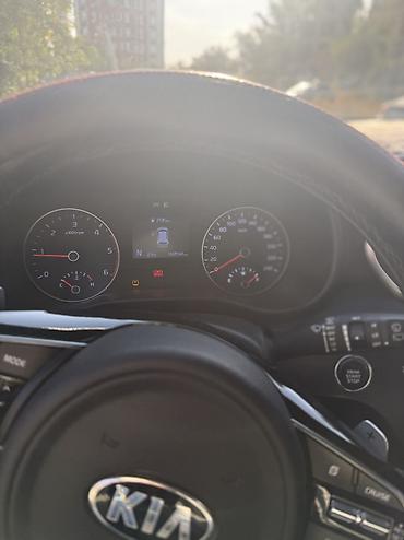 оригин: Kia Sportage: 2019 г., 2 л, Кроссовер — 8