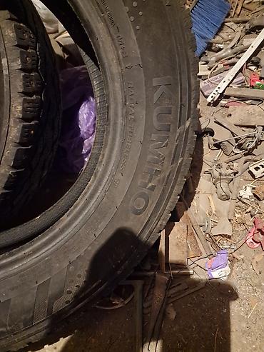 Шины: Шины — 2