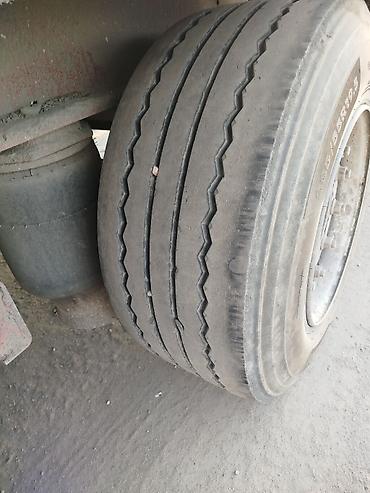 Тягачи: Тягач, Renault, 2013 г., Контейнеровоз — 9