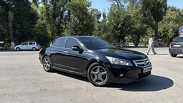 туки салома: Honda Accord: 2009 г., 3.5 л, Автомат, Бензин, Седан — 4