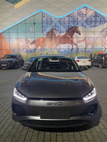 BYD: BYD E2: 2025 г., Автомат, Электромобиль, Хэтчбэк — 1