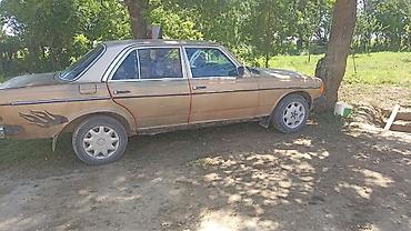 для фар: Mercedes-Benz W123: 1982 г., 2.3 л, Механика, Седан — 3
