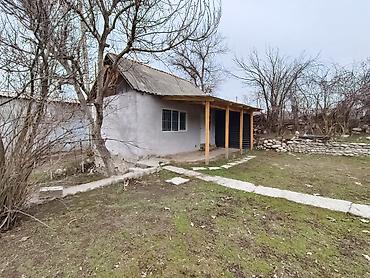 Продажа участков: 6 соток, Красная книга at lalafo.kg — 3 Продажа участков: 6 соток, Красная книга — 3