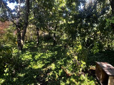 Продажа участков: 8 соток, Для строительства, Красная книга, Тех паспорт at lalafo.kg — 8 Продажа участков: 8 соток, Для строительства, Красная книга, Тех паспорт — 8