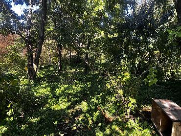 Продажа участков: 8 соток, Для бизнеса, Красная книга, Тех паспорт, Генеральная доверенность — 7