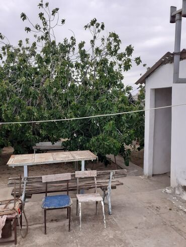 Bağ evlərinin satışı: Saray, 90 kv. m, 3 otaqlı, Kanalizasiya, Artezian quyusu, İnternet -da lalafo.az — 15 Bağ evlərinin satışı: Saray, 90 kv. m, 3 otaqlı, Kanalizasiya, Artezian quyusu, İnternet — 15