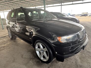 BMW: BMW X5: 2002 г., 4.6 л, Автомат, Бензин, Кроссовер — 2
