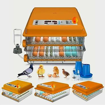 hayvan satış: Yeni tam avtomatik inkubator 120 yumurta.Akumlyator 12V qoşulma — 2