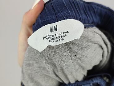 bluza lindex: Spodnie dresowe, H&M, 3-4 lat, 104, stan - Bardzo dobry — 4