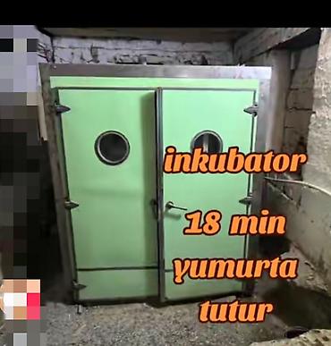 Kənd təssərüfatı avadanlığı: Bütün növ quşlar üçün — 1