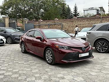 camry 55 exclusive: Toyota Camry: 2020 г., 2.5 л, Автомат, Гибрид, Седан — 1