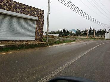 8 mk: 8 sot, Tikinti, Kupça (Çıxarış) — 5