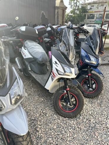 мотоцикл java: ⚠️ОПТОМ И В РОЗНИЦУ ⚠️ Скутер Mustang (серия X) — городской/легкий