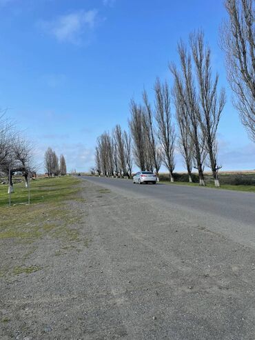 Digər kommersiya daşınmaz əmlakı: LƏNKƏRANDA. Bakı-Lənkəran magistral yolunda, Lənkəran şəhər 5 saylı — 9