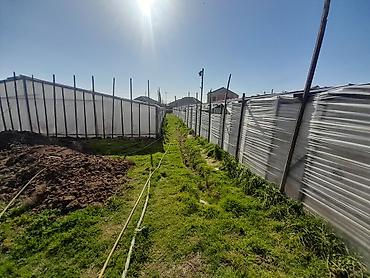 Torpaq sahələrinin satışı: Kənd təsərrüfatı — 13