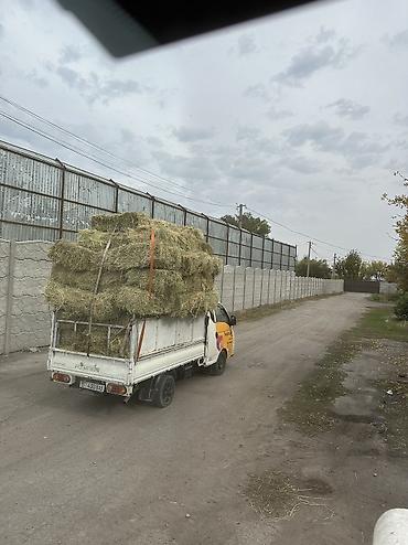 А/ч жаныбарлары үчүн тоюттар: Сено полевое в тюках - Кормовое сено, спрессованное в прямоугольные — 3
