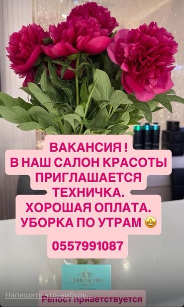 Другие специальности: В салон красоты требуется техничка. Предлагаем хорошую оплату и