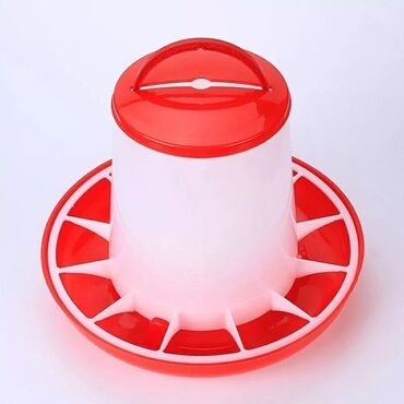 İnkubatorlar: İnkubator və ferma avadanlaqlari̇ inqubator yem qabi və su qabi -da lalafo.az — 9 İnkubatorlar: İnkubator və ferma avadanlaqlari̇ inqubator yem qabi və su qabi — 9