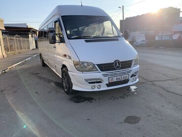 Mercedes-Benz: Mercedes-Benz Sprinter: 2003 г., 2.7 л, Механика, Дизель, Бус