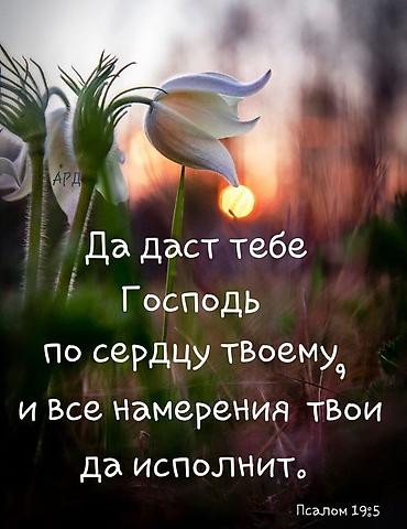 няня филиппинка бишкек: Срочно ищу работу няней в Бишкеке или посудомойщицей, помощника — 1