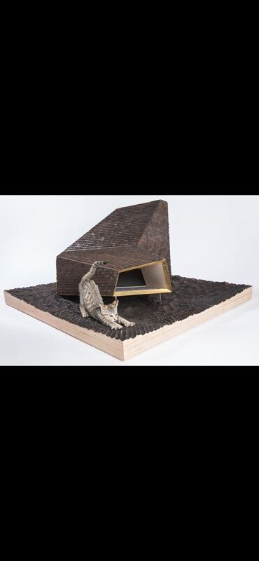 Yuvalar: Məhsul: Pişiklər üçün çoxfunksiyalı evlər və mebel - Daxili pişik — 8