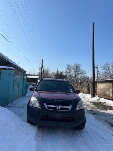 Honda: Honda CR-V: 2006 г., 2.4 л, Автомат, Бензин, Внедорожник