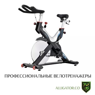 сумка 150: Велотренажеры профессиональные Вес до 150 кг Маховик 18 кг В