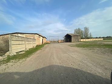 Продажа участков: 81 соток, Для бизнеса, Красная книга — 16