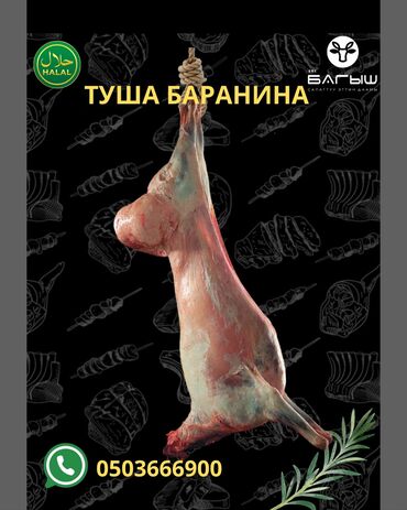 Мясо: Баранина : До 1 кг, 1 кг, 2 кг, Самовывоз, Бесплатная доставка, Платная доставка — 19
