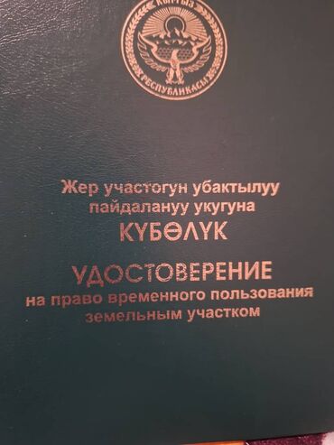 базар коргон жер: 80 соток, Бизнес үчүн