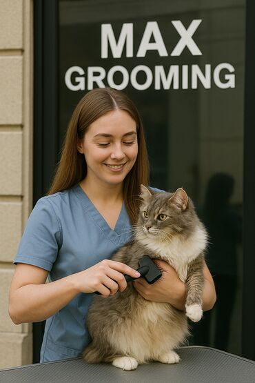 qapi demir qapi seyf qapi: Pişik Grooming Xidməti ✨ Sevimli pişiyiniz üçün tam peşəkar qulluq! ✔️
