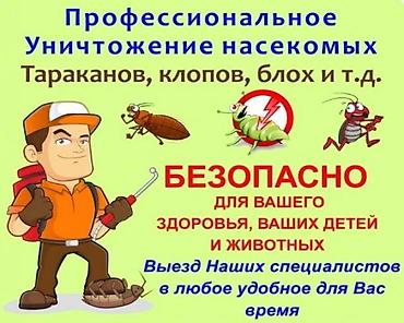 осы: Дезинфекциялоо, дезинсекциялоо, | Канталалар, Бүргөлөр, Таракандар, | Унаа, Офистер, Батирлер — 9
