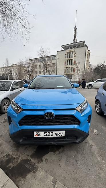 raf4 2020: Toyota RAV4: 2020 г., 2.5 л, Автомат, Бензин, Кроссовер — 1