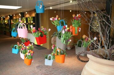 Bayram bəzəkləri: Məhsul/xidmət: Yeni il mövzusunda pəncərə rəsmləri - Dizaynlar: Şam — 19