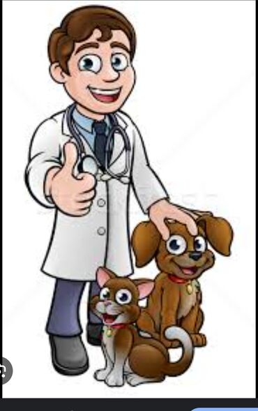 ветеринар токмак: Ветеринар на выезд 24/7 Всех видов животных Лечение Купирования
