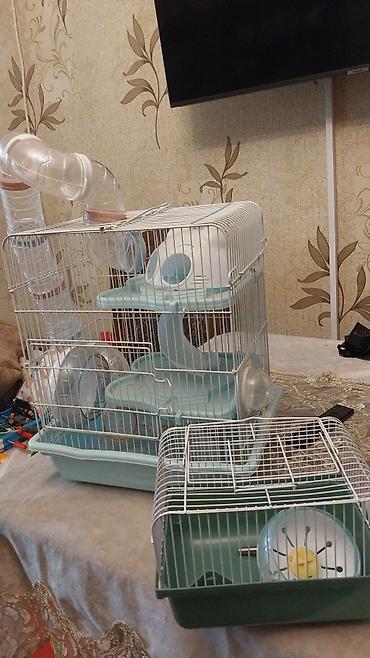 qəfəs böyük: Hamster üçün iki qəfəs dəsti - Böyük modul qəfəs: çoxmərtəbəli — 3