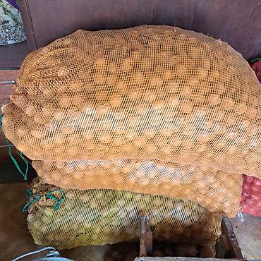 кой сойу: Грецкие орехи в сетчатых мешках цена договорная срочно !!! - Цельные — 2