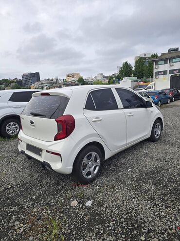 купить мотороллер муравей новый: Kia Morning: 2020 г., 1 л, Автомат, Бензин