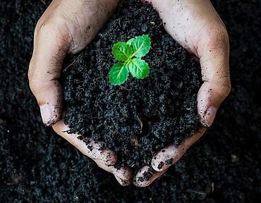 одежда для кухни: Питательный грунт/почвосмесь для рассады и комнатных растений - — 1