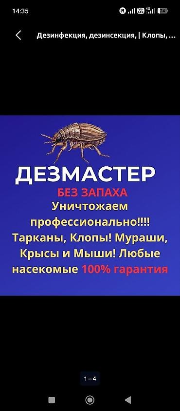 антижучок бишкек: Дезинфекция, дезинсекция, | Клопы, | Подвал, погреб — 1