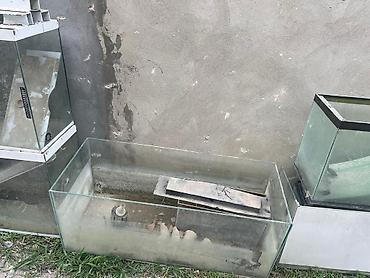 akvarium balaca: Dördbucaq akvarium, Boş, 100 l, Ödənişli çatdırılma, Ünvandan götürmə — 6