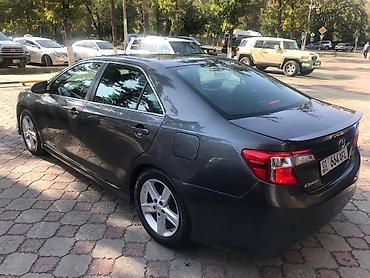au: Авто на прокат - Toyota Camry 2014г.в. --- 40-45-50$ в сутки. Все — 6