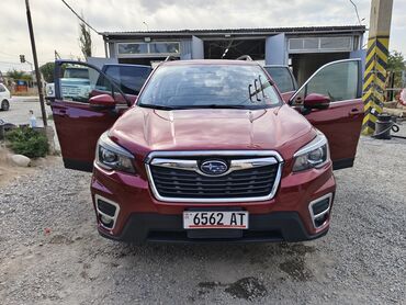 лобовое форестер: Subaru Forester: 2019 г., 2.5 л, Вариатор, Бензин, Кроссовер