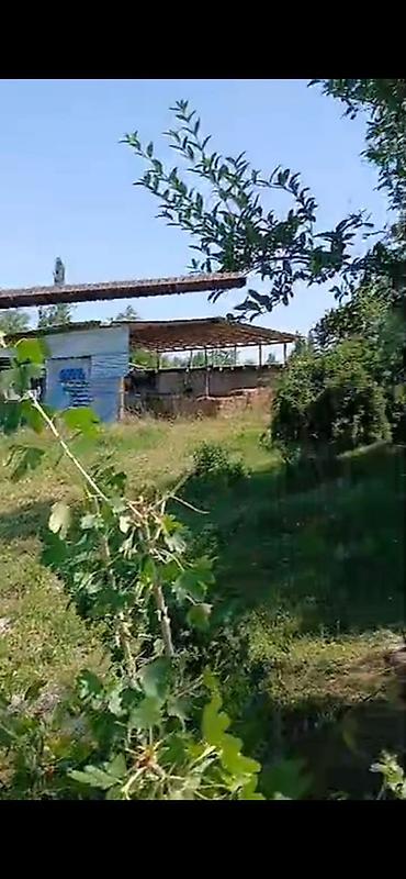 Продажа коттеджей и домов: Продаётся земельный участок с хозяйственным двором и постройками. - — 5