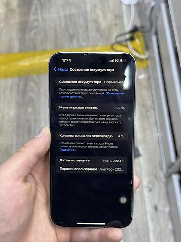 Apple iPhone: IPhone 15 Pro Max, Б/у, 256 ГБ, Серебристый, Защитное стекло, Кабель, Зарядное устройство, 87 % — 10