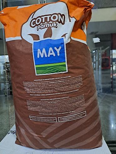 bugda toxumu: Məhsul: MAY Cotton (Pamuk) toxumu – MAY455 hibridi Çəki: 25 kq — 2