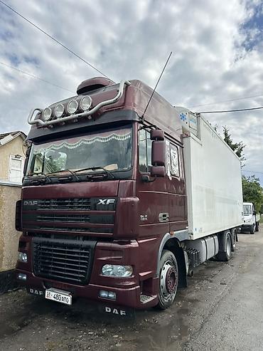 Тягачи: Тягач, DAF, 2006 г., Холодильник, рефрижератор — 2