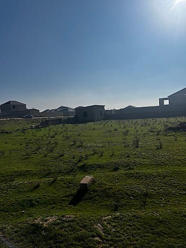 mehemmedli: 10 sot, Kənd təsərrüfatı, Barter mümkündür, Bələdiyyə, Kupça (Çıxarış) — 6