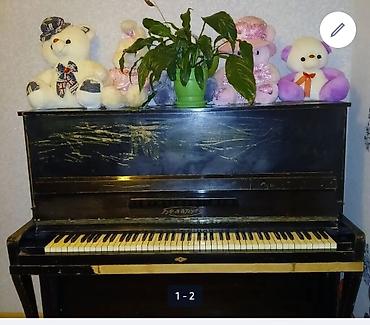 klas 6: Upright piano – “Belarus” markalı - Korpus: klassik vertikal — 1